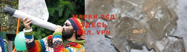 PSILOCYBIN Баксан
