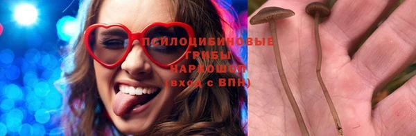 PSILOCYBIN Баксан