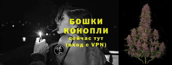 PSILOCYBIN Баксан