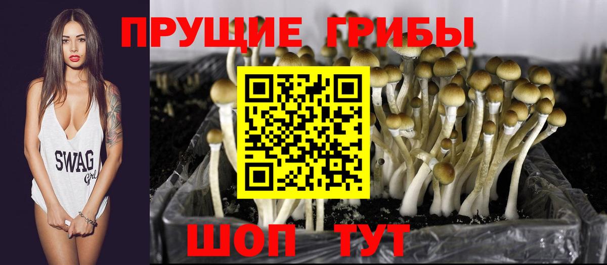 Галлюциногенные грибы мухоморы  Вход с VPN  Долгопрудный 