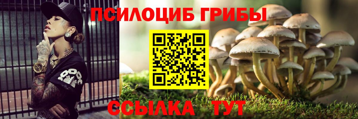 Галлюциногенные грибы мухоморы Долгопрудный